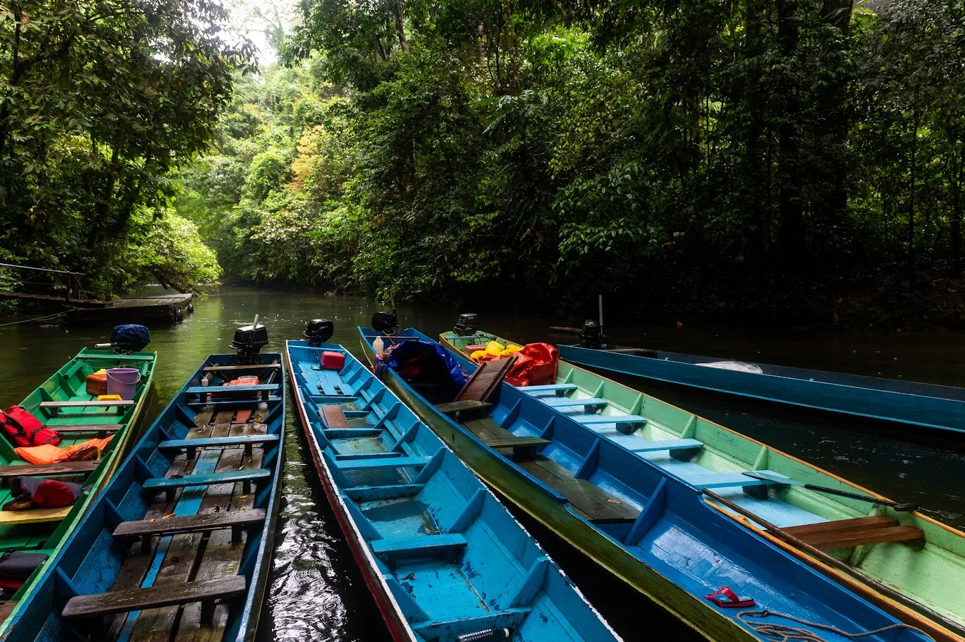 Perahu panjang di tepi sungai hutan hujan