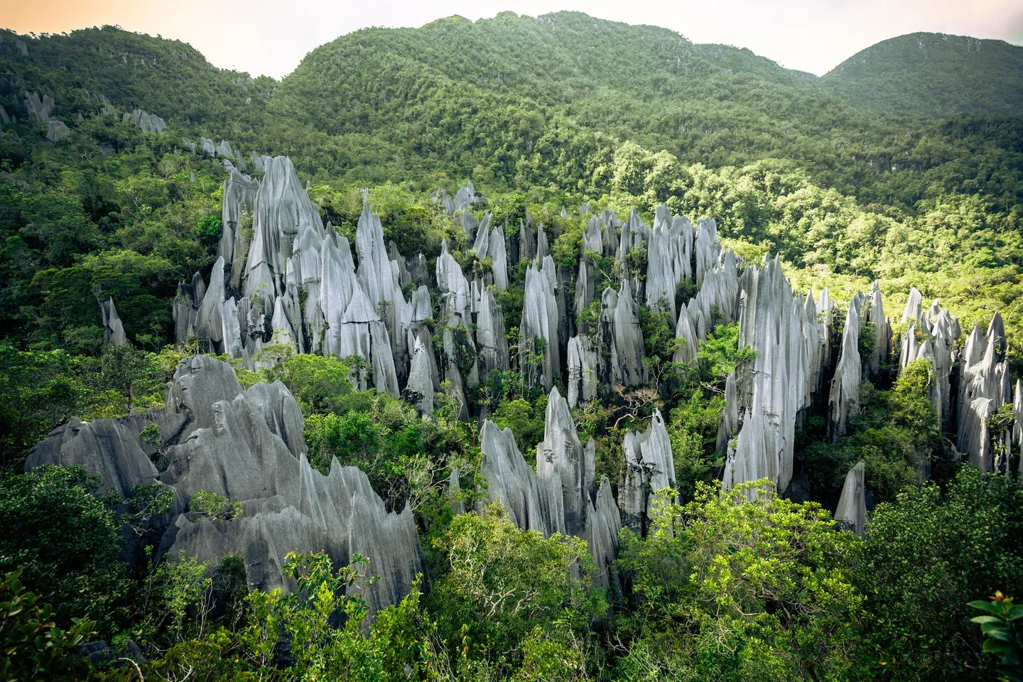 Pinnacles Mulu